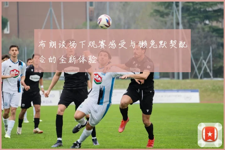 布朗谈场下观赛感受与獭兔默契配合的全新体验
